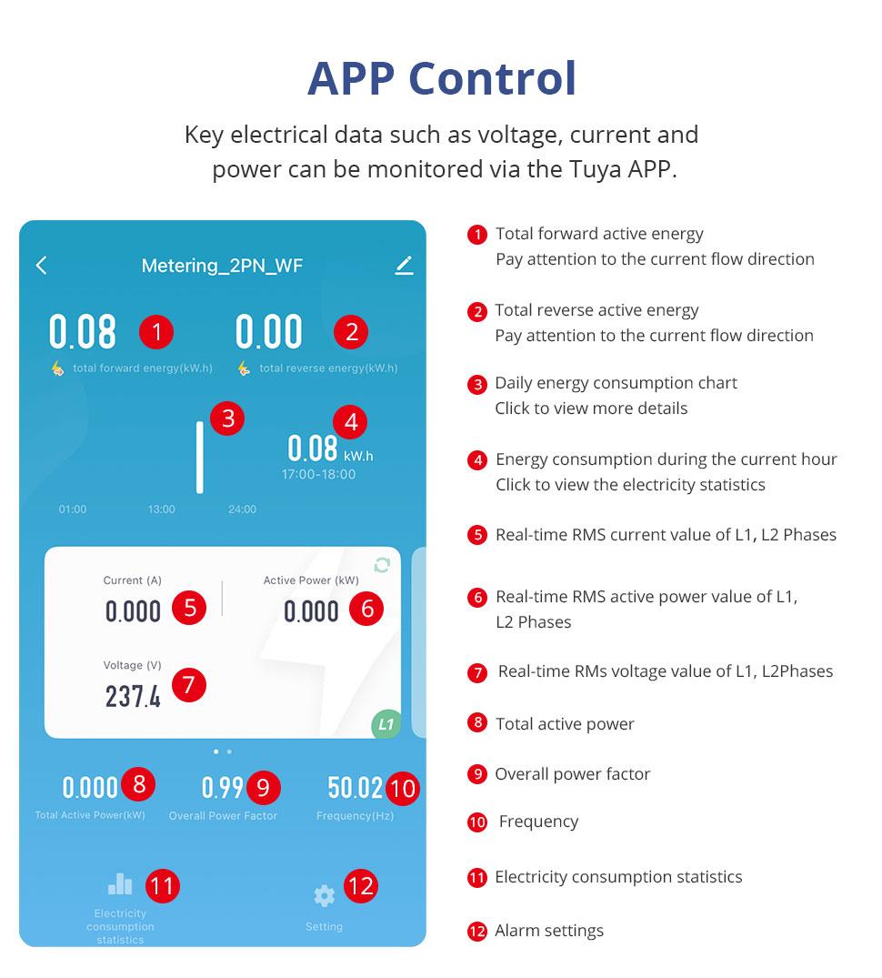 Smart Home Energy Monitor with 2 x 120A CTs, Live Electricity Usage Tracking, Bi-Directional Power Tracking, Supports Single-Phase 3-Wire System, 2.4GHz Wi-Fi (WiFi Version)