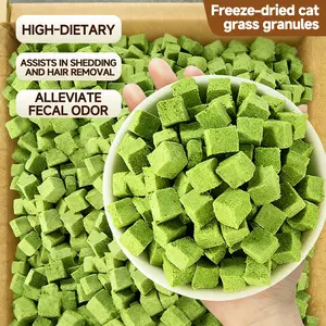 70g Cat Grass Treats with Natural Salmon, Hairball & Dental Care, Healthy Catnip Biscuits for Training & Daily Snacks