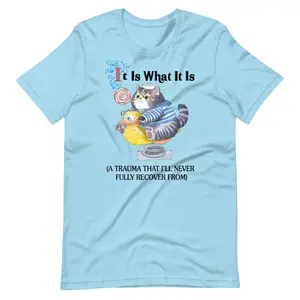 It Is What It Is Unisex t-shirt, 2026 Graphic T-shirt Outfit Idea, Oversized Street Style Tee,Trending US Fashion #tshirt #tshirtoutfit #viraltee #outfitinspo #streetstyle #everydayfit #minimalstyle #summertee #tiktokshopfinds #trendalert