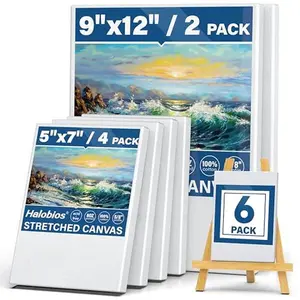 6 Packs Stretched Canvases for Painting with 5x7in,9x12in Canvas, Blank Canvases for Acrylics, Oils & Other Painting Media, 5/8 Inch Profile 100% Cotton Artist Framed Canvas