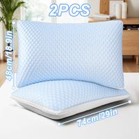 2PCS Blue pillows