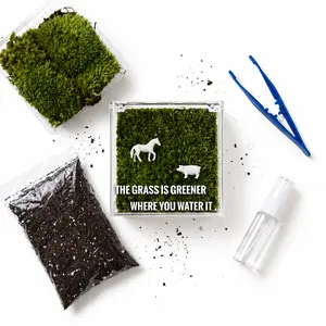 Preserved Moss Mini DIY Scene Kit - Transparent Acrylic Box, Tiny Animal Figurine, Mini Doll, Small Sprayer, Tweezers, 0-Maintenance Home Decor, Stylish Desktop Accent for Home & Office, Ideal Gift for Plant Enthusiasts, Complete Product + (Mini Doll + Sm