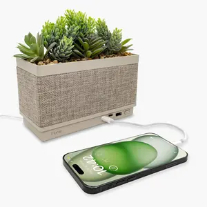 Power Plant Faux Succulent with USB Charging Station and Bluetooth Speaker – Beige (iPP60)