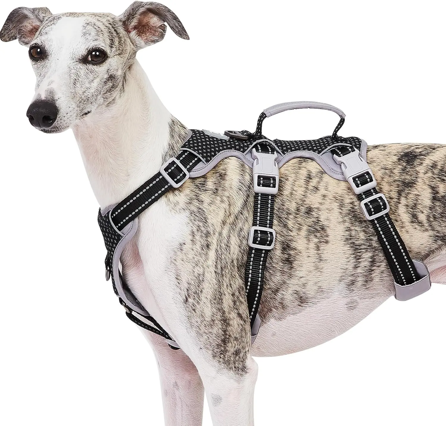 Escape Proof Nylon Dog Harness with Mesh & Polyester Webbing, No-Pull Reflective Pet Vest with Lift Handle, Adjustable Front & Back Leash Clips for Small/Medium/Large Dogs (Walking, Hiking) (Black, L), Harnesses
