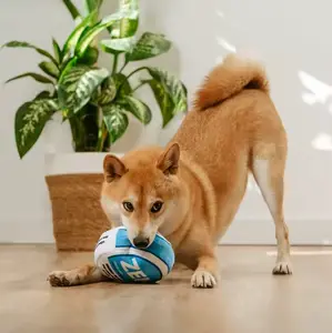 Zen Squeaky Plush Dog Toy