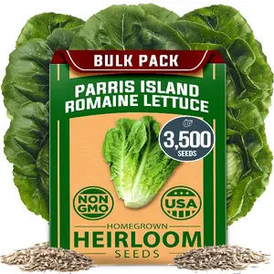 Parris Island Romaine Lettuce Seed Pack - 3500+ High Germination Heirloom Non-GMO Vegetable Seeds, Lettuce Seeds for Planting, and for Hydroponic Garden Indoor and Outdoor (Lactuca Sativa)