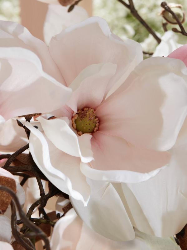 DKNY Be Delicious Mini Perfume – Eau de Parfum for Women 0.5 Fl Oz/15ml