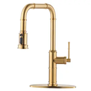 WOWOW Modern Brass 3-Function Single Handle Pull-Down Sprayer Kitchen Faucet with Deckplate in Brushed Gold