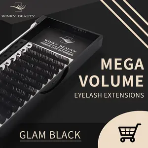 Winky Beauty Custom Your Logo Individual Eyelash Extension Silk Lashes Russian Volume Classic Eyelash Extensions for Makeup