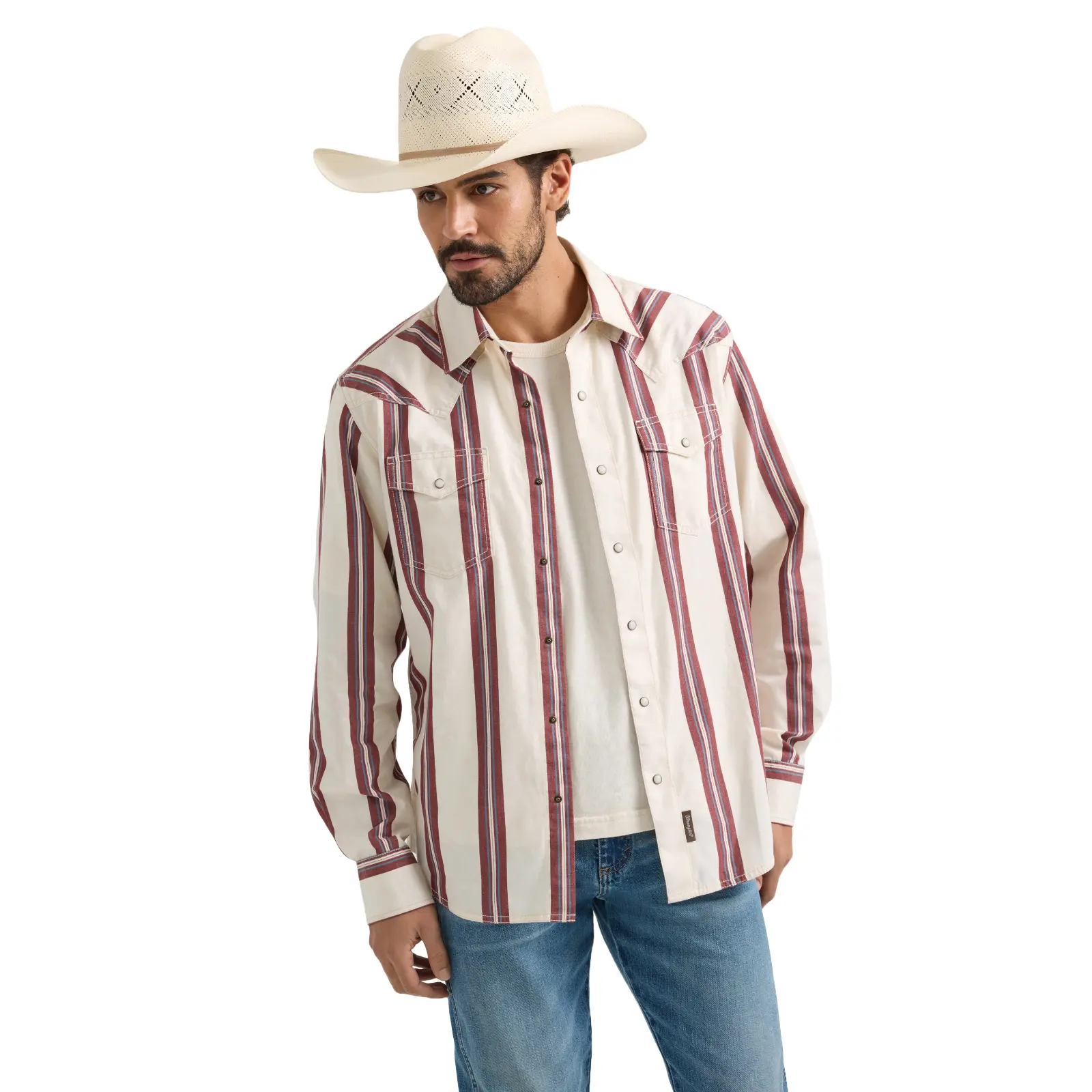 Wrangler Retro® Men's Long Casual Cotton Striped White Button-Down Shirt with Pockets, Menswear Style 112359922