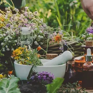 My Herbal Garden Starter