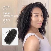 Afro Kinky Curly 