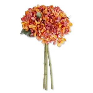 Ember Glow Hydrangea Bundle