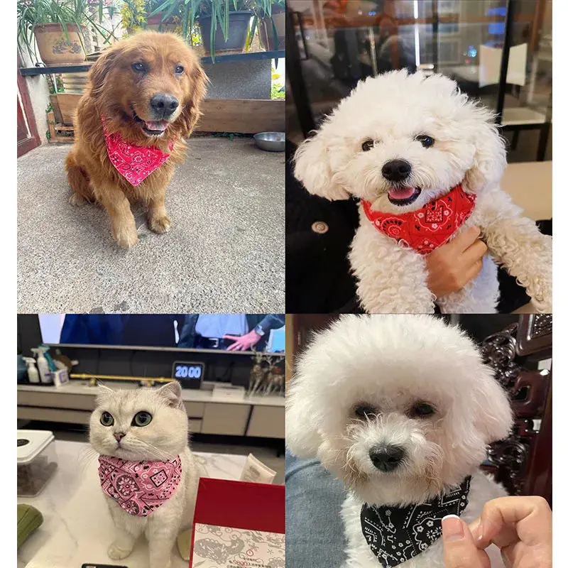 Pet Bandana Scarf - Adjustable, Washable Collar with Chic Bib for Cats & Dogs, s/m Sizes, l33-53cm, Aids Cleanliness