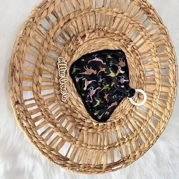 Dino Bamboo Lovey