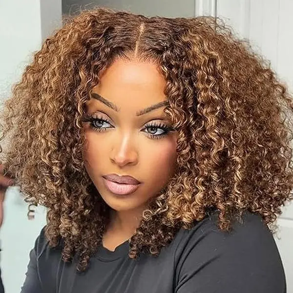 Tuneful Afro P4/27 Glueless Kinky Curly Wigs Human Hair 5x6 Wear Go Wigs Pre Cut Lace Afro Curly Wig for Women Beginner Friendly 20Inches