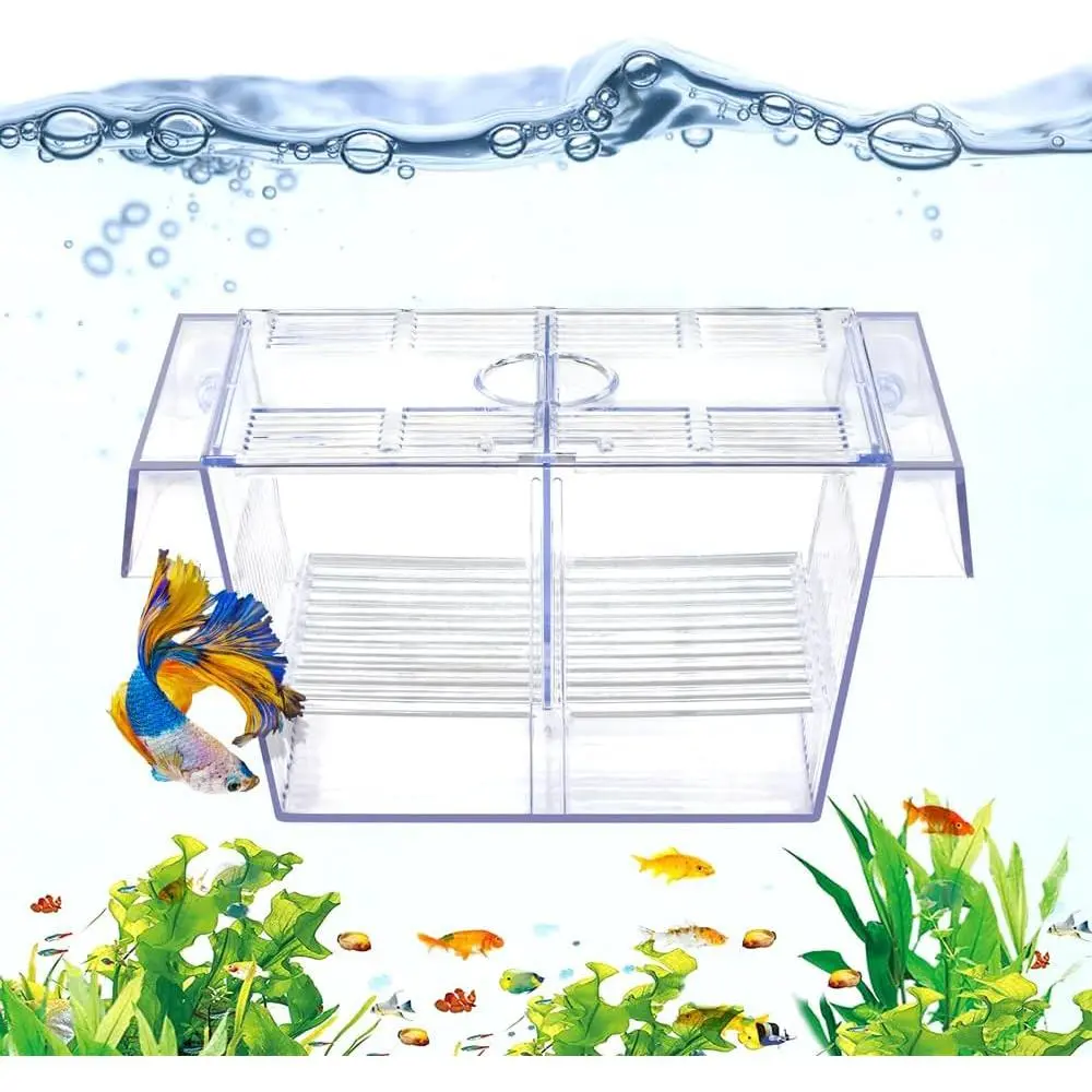 Fish Breeding Box Aquarium Holding Tank Transparent Fish Isolation Box Acclimation Hatchery Incubator Breeder Box for Fish Betta Shrimp Clownfish Guppy