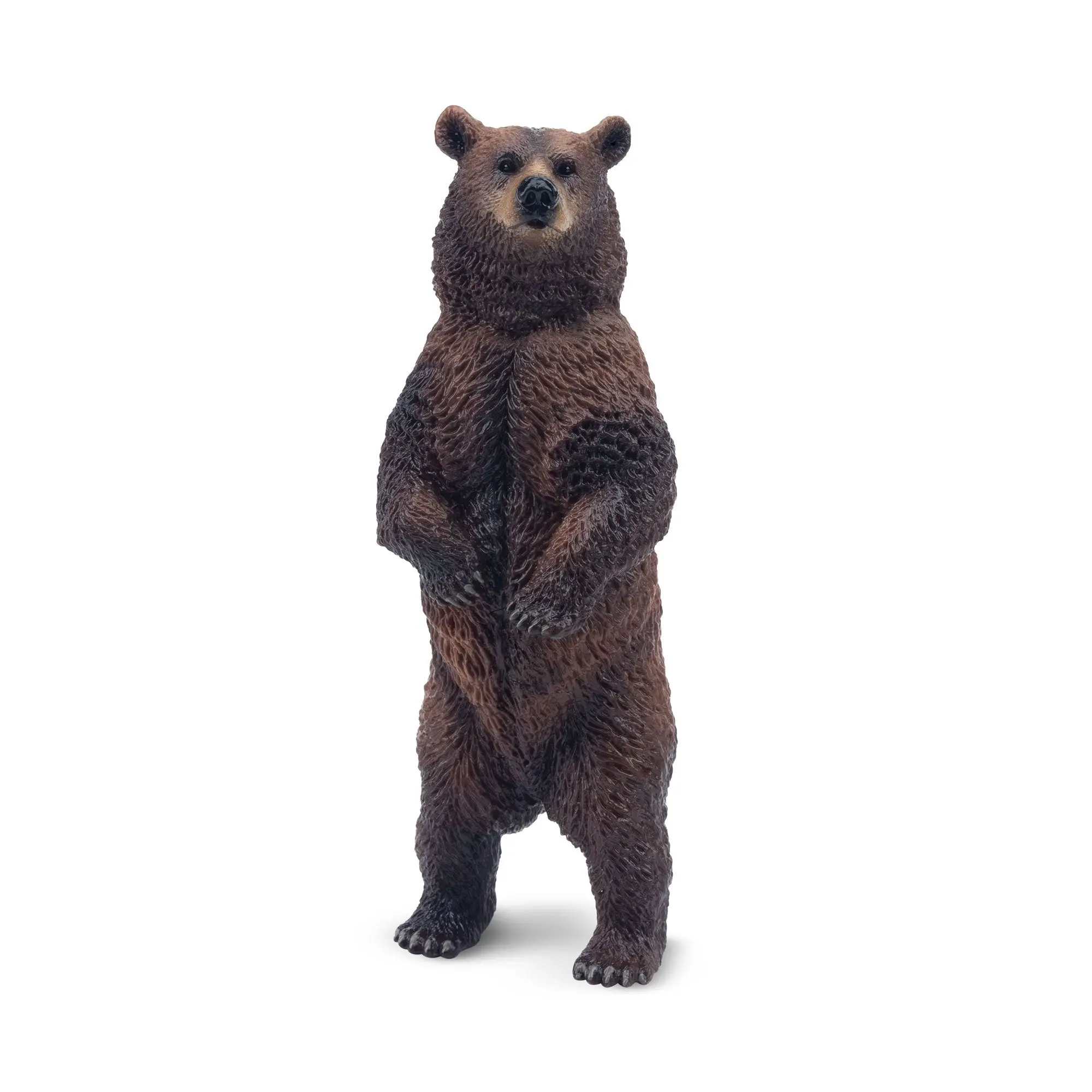 TOYMANY PVC Solid Hand-Painted Standing Brown Animal Design Bear Figure - Mini Collectible Decoration, 3+ Unisex Montessori Sensory Play Children Development Early Education Toy