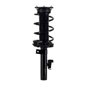 Fcs Auto Strut And Coil Spring Assembly 1335555l 1 Pc
