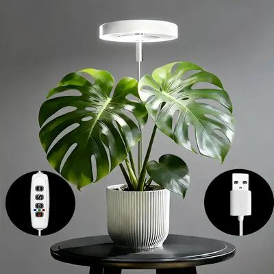 Battery Operated Grow Lights - TikTok Shop