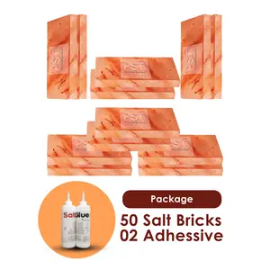 Himalayan Pink Salt Bricks Pack of 50 With 2 Salt Adhesive on Wholesale Price
