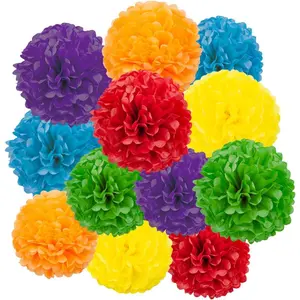 Rainbow Tissue Pom Poms Paper Kit DIY Decorative Flowers Ball for Birthday Party Wedding Hanging Decorations Pack of 12 10in12in