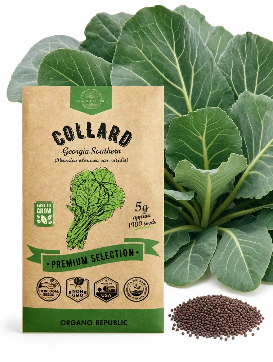 Collard Georgia Southern Seeds