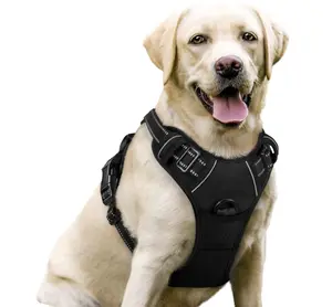 rabbitgoo Dog Harness No Pull with 2 Leash Clips, Adjustable Soft Padded, Reflective Oxford No Choke Pet Vest with Easy Control Handle for Large Dogs, Black, L
