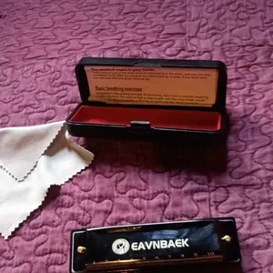 Blues Harmonica Mouth Organ Harp 10 Hole C Key with Case, Diatonic Harmonica for Beginner, Professional Player, Students gifts, Adult, ,