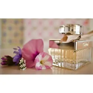 Bibliotheque (Byredo type) - Premium Fragrance Oil