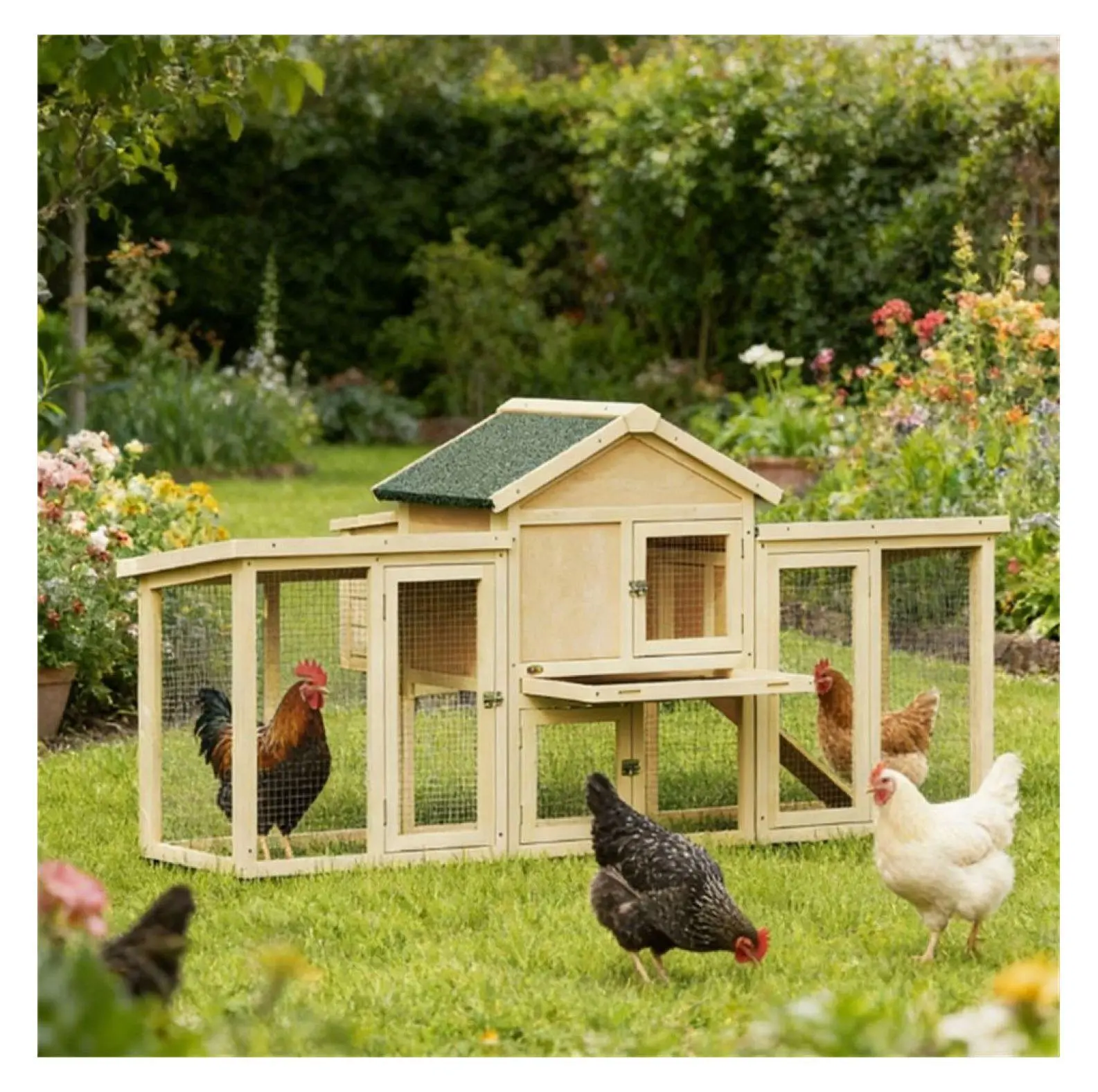 Wooden Chicken Coop - Large Poultry Cage with Run - Outdoor Hen House for Backyard Chickens - Fir Wood Construction - Nesting Box Natural Wood