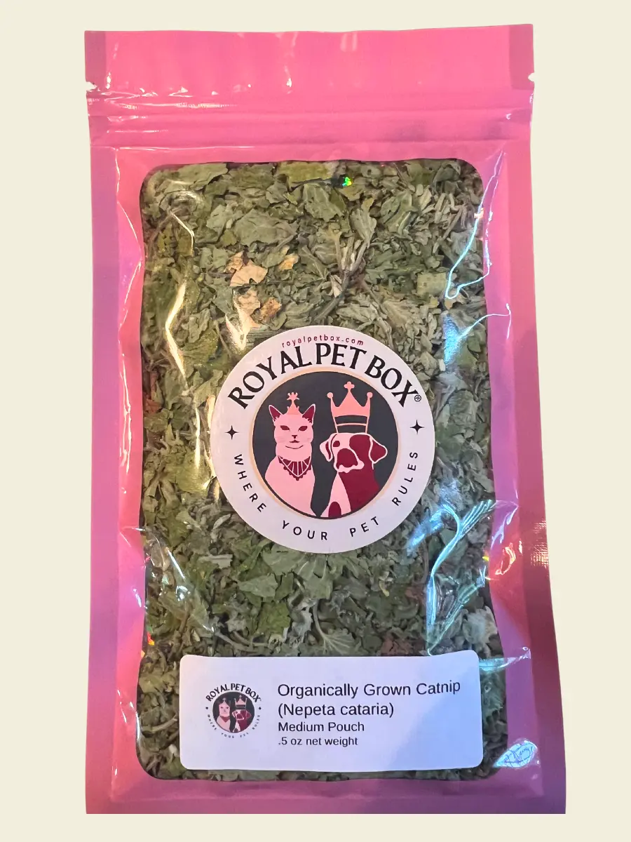 Organically Grown Catnip - Medium Pouch