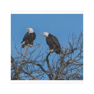 Eagle Car Magnet, Patriotic Bald Eagle Magnet, American Symbol Vehicle Decal, USA Flag Auto Sticker, Independence Day Decor, Memorial Day