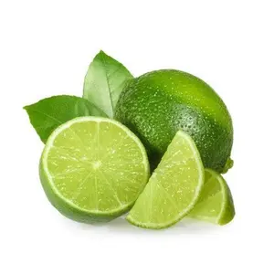 PERSIAN LIME SEEDLESS Tree/ Bearss Lime/ Tahaiti Lime/ Chanh Giáº¥y Ko Háº¡t