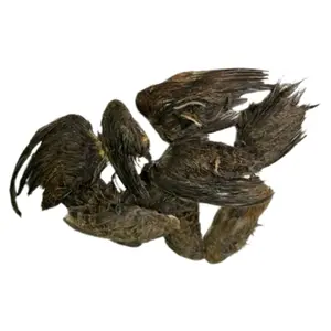 Undique Small Quail Wings for Dog Training - 10 Count Set