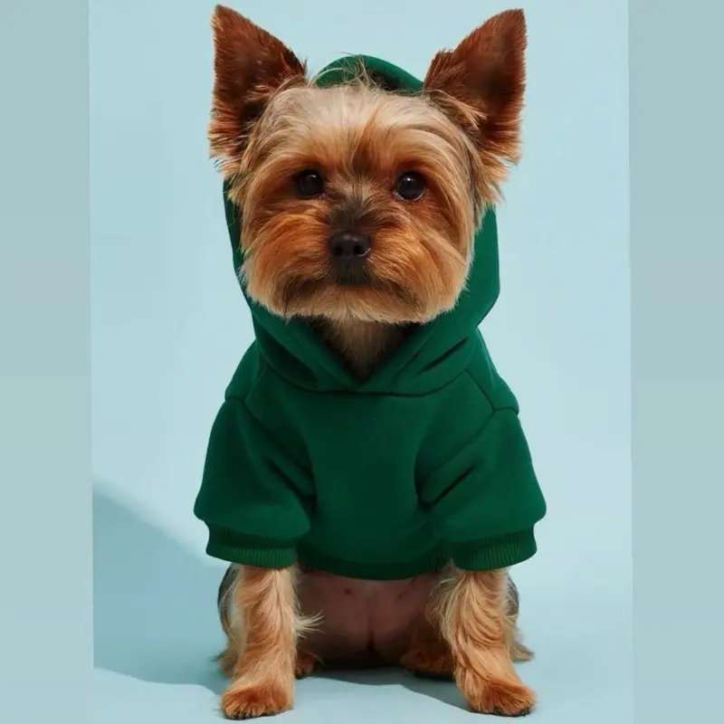 THE VIRAL DOG HOODIE EVERYONE IS TALKING ABOUT! - Stylish Green Pet Hoodie for Comfort and Style