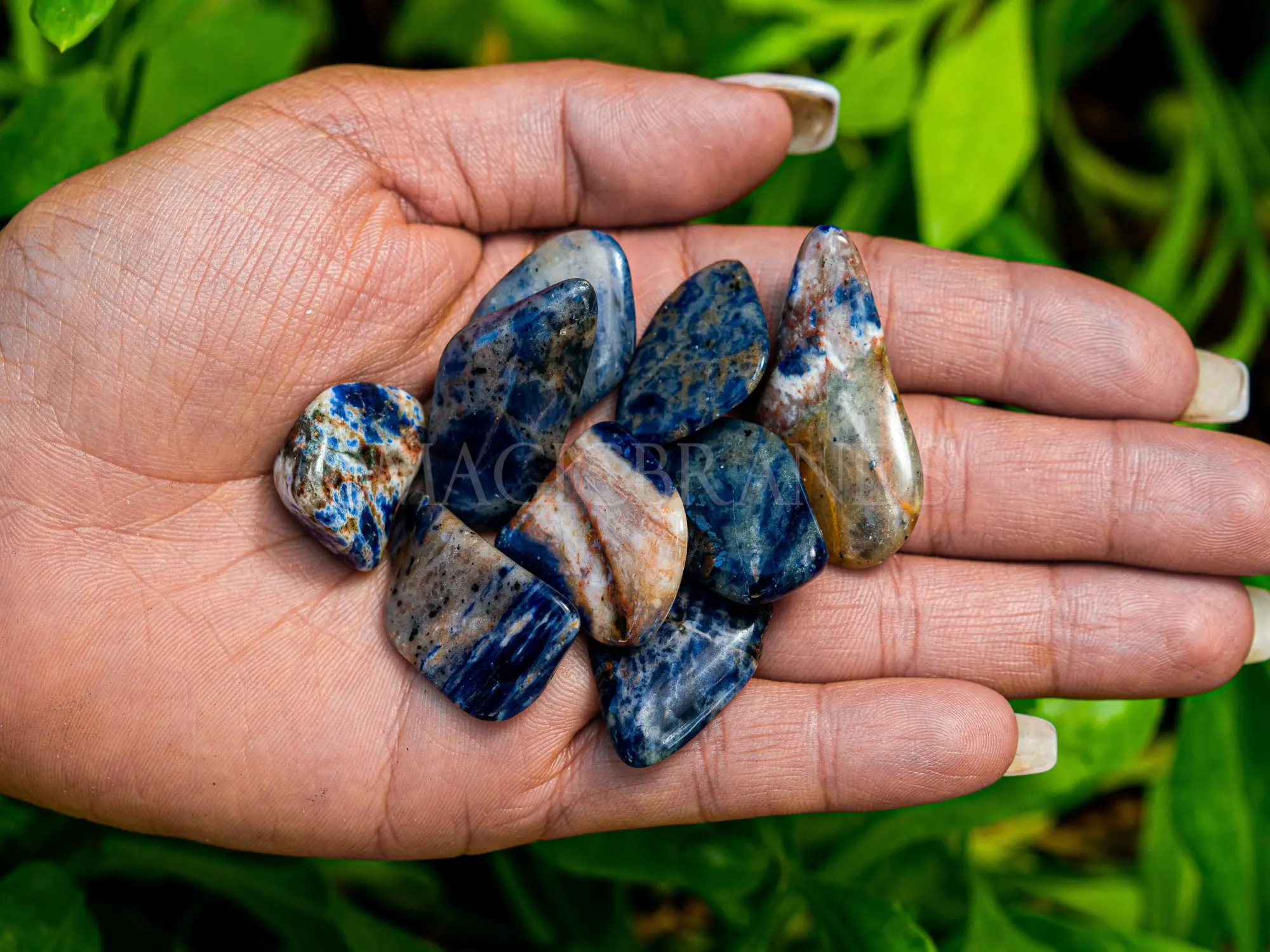 1 lb Sodalite Tumbled Crystals, Natural Blue Sodalite Stones, Energy Healing Tumbled Stones, Genuine Sodalite Gemstone, Sodalite Bulk