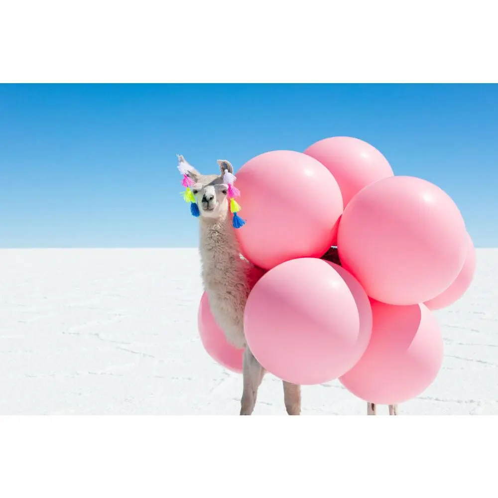 Llama with Pink Balloons and Tassels