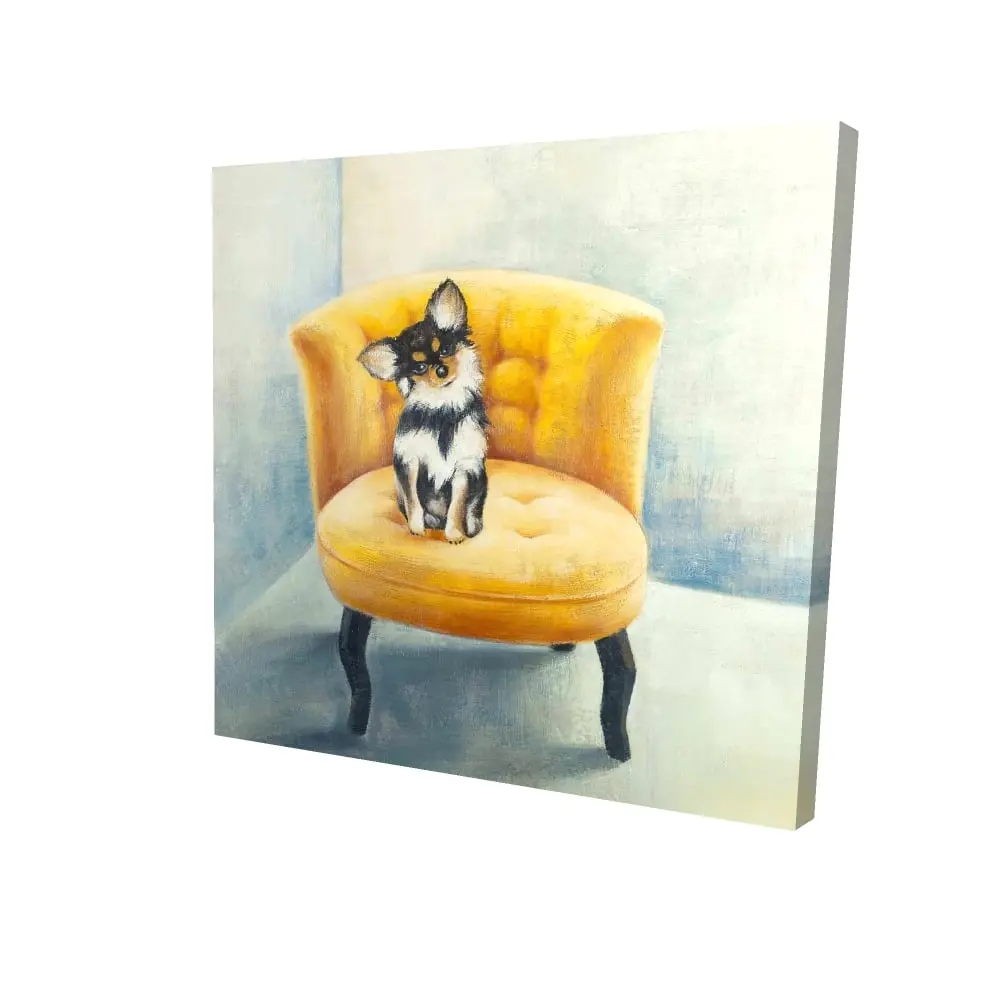 Begin Home Decor 2080-2424-AN152 24 x 24 in. Long-Haired Chihuahua Canvas Art - Contemporary Bedroom Decor
