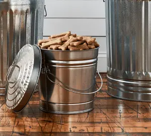 6-Gallon Galvanized Steel Locking Lid Storage Can