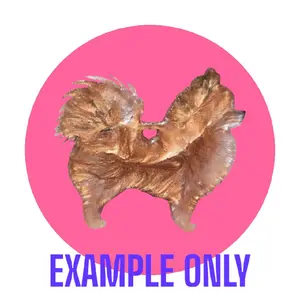 Customizable Resin Pomeranian keychain/3D magnet -