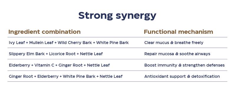 Liposomal Respiratory Relief Drops - Mullein Drops for Lungs with Elderberry, Licorice Root, and Slippery Elm Bark - Support Lung Cleanse and Mucus Relief - Suitable for Kids and Adults (1Pack) Liposomal Respiratory Relief Drops - Mullein Drops for Lungs with Elderberry, Licorice Root, and Slippery Elm Bark - Support Lung Cleanse and Mucus Relief - Suitable for Kids and Adults (1Pack)