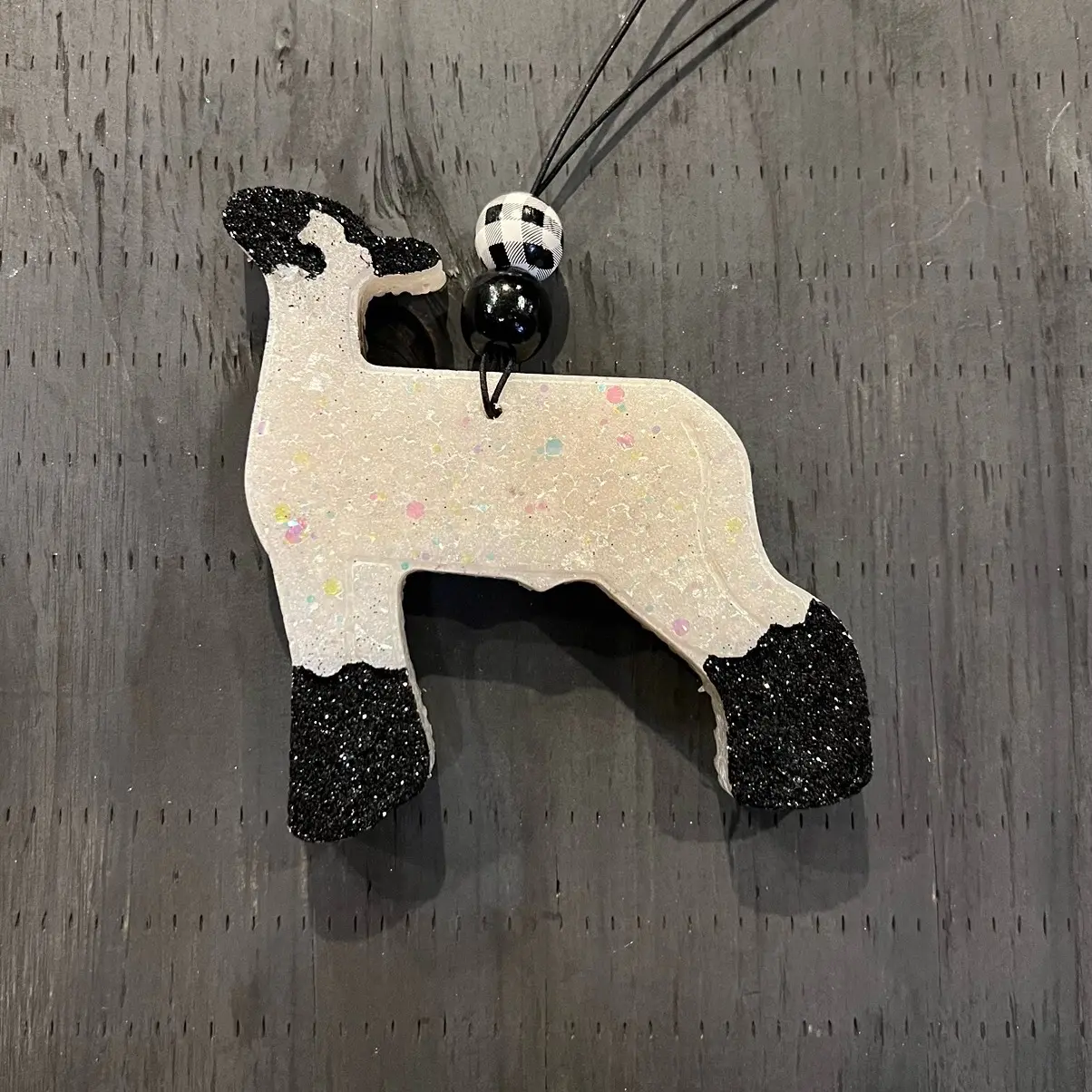 Show Lamb Freshie