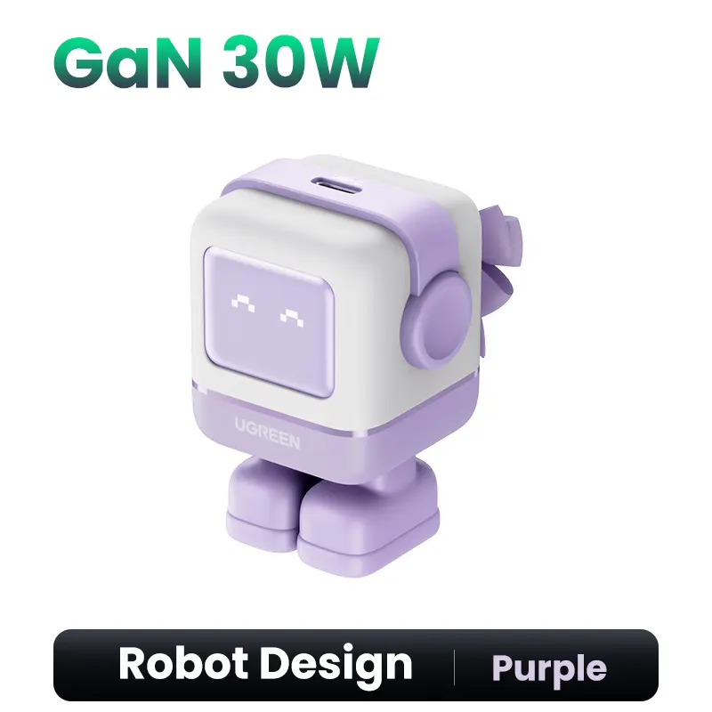 RG 30W Charger Purple