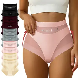 Morelect Logo Detail Sheer Mesh Panties, 10 Pcs  High Waisted Underwear for Women,, Breathable Lightweight Comfort Briefs, Summer Everyday Undies