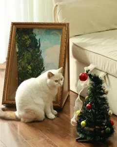 DIY 3D Frame Cat House with Scratching Board Oil Painting Cat Scratcher Wall Mounted Easy-to-Assemble Bed Couch Cave Condo Creative Home Decoration Handicraft