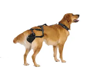 PABS® Premium Plus Delay her SpayTM System (Includes Harness and Inflatable Collar)