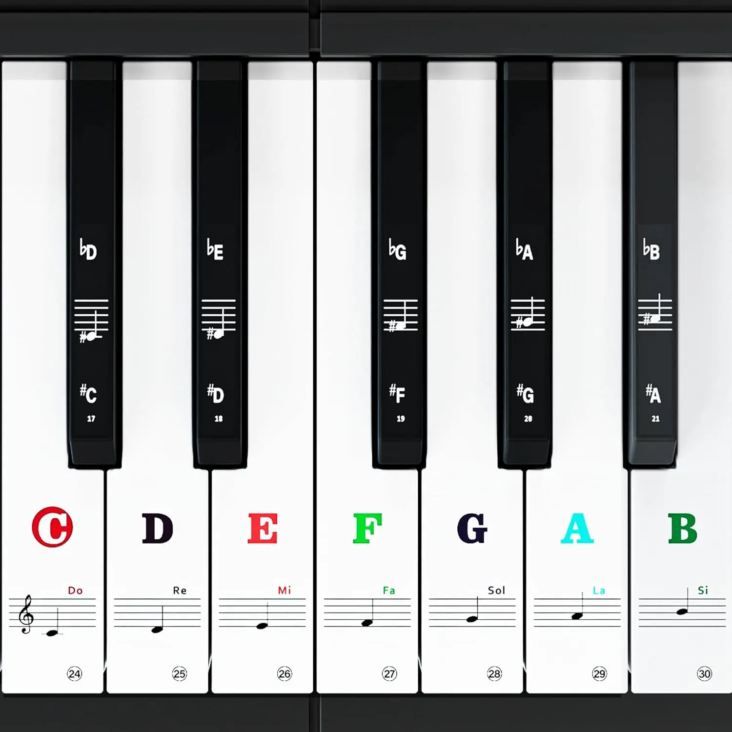 Piano Keyboard Stickers for 88/61/54/49/37 Key, Bold Large Letter Piano Stickers for Learning, Removable Piano Note Sticker Letters, Notes Label for Beginners and , Multicolor