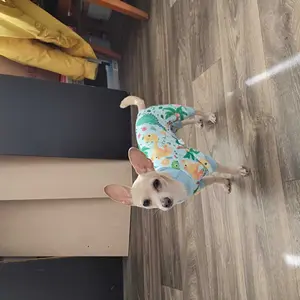 XPUDAC Cozy Pet Pajama with Cute Duckie Print Sleepwear for Small Medium Large Dogs Cats Christmas Gift Universal Fit Puppy Costume Clothes Shirt - Outfits