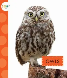 USED-Owls by Dieker, Wendy Strobel (Paperback)